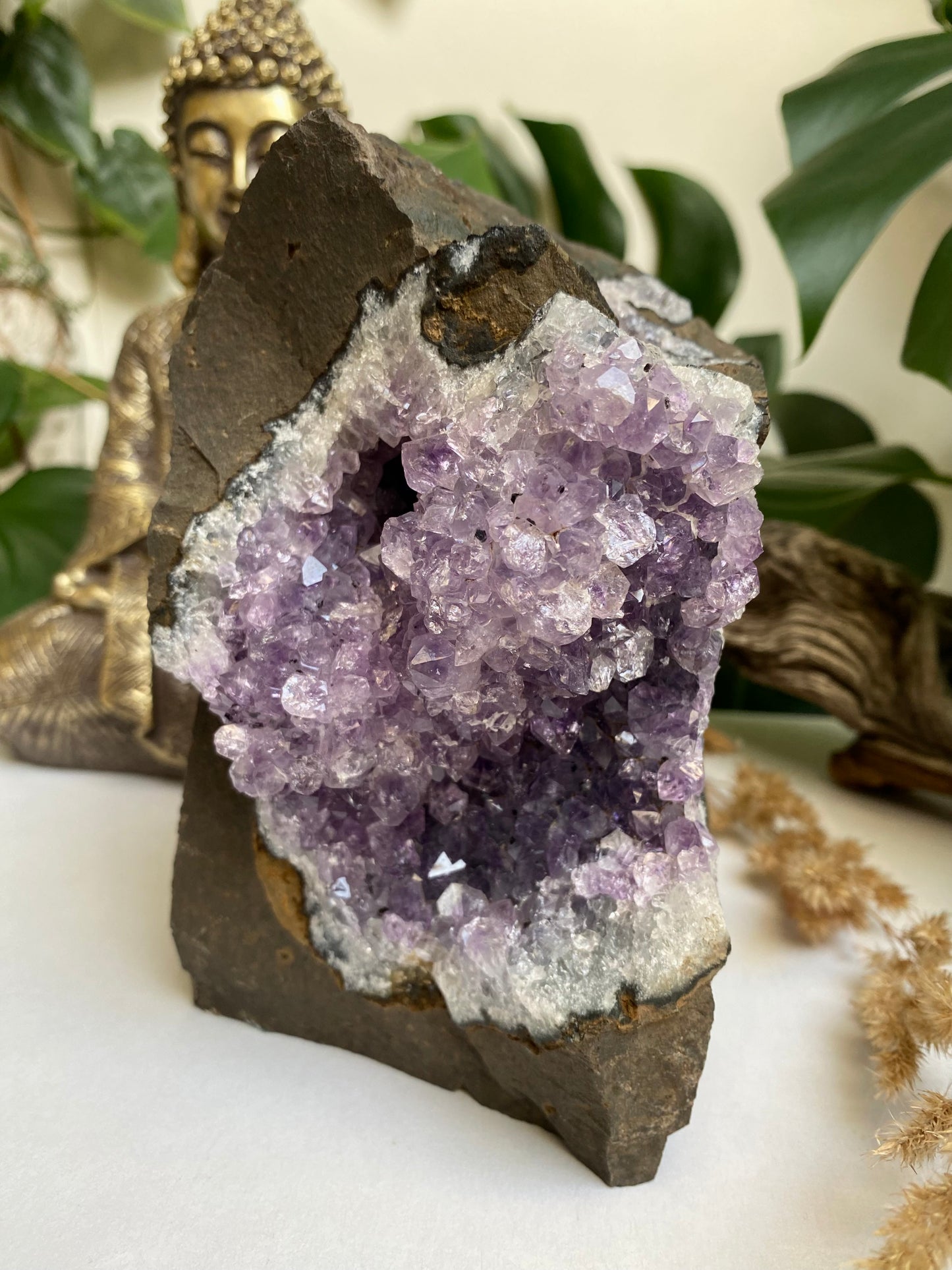 Amethyst auf Basalt