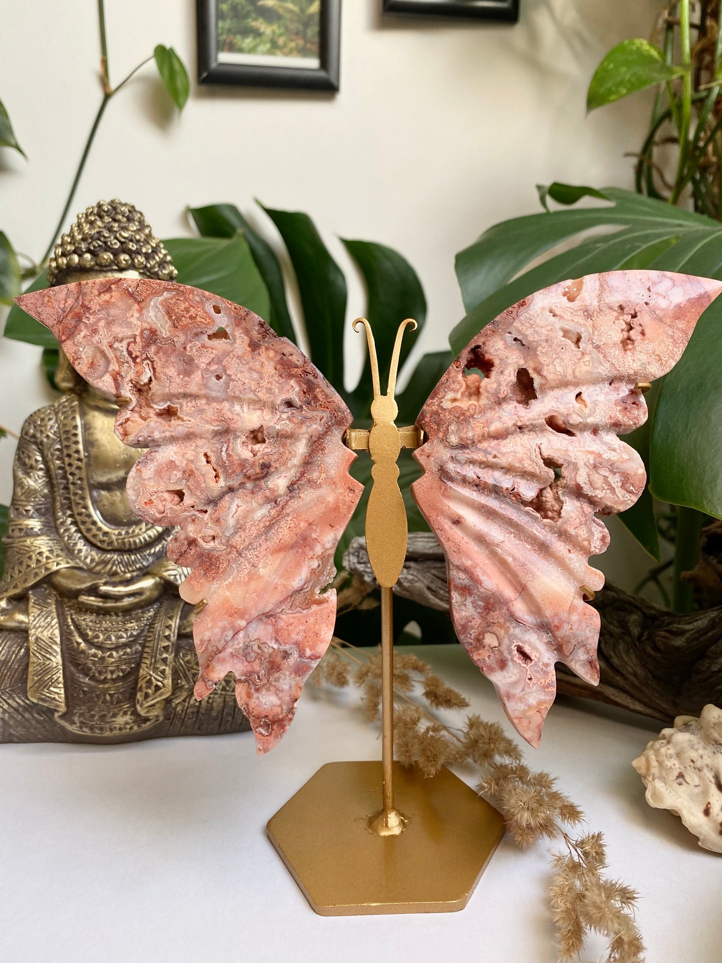 Crazy Lace Agate Schmetterling 2 B