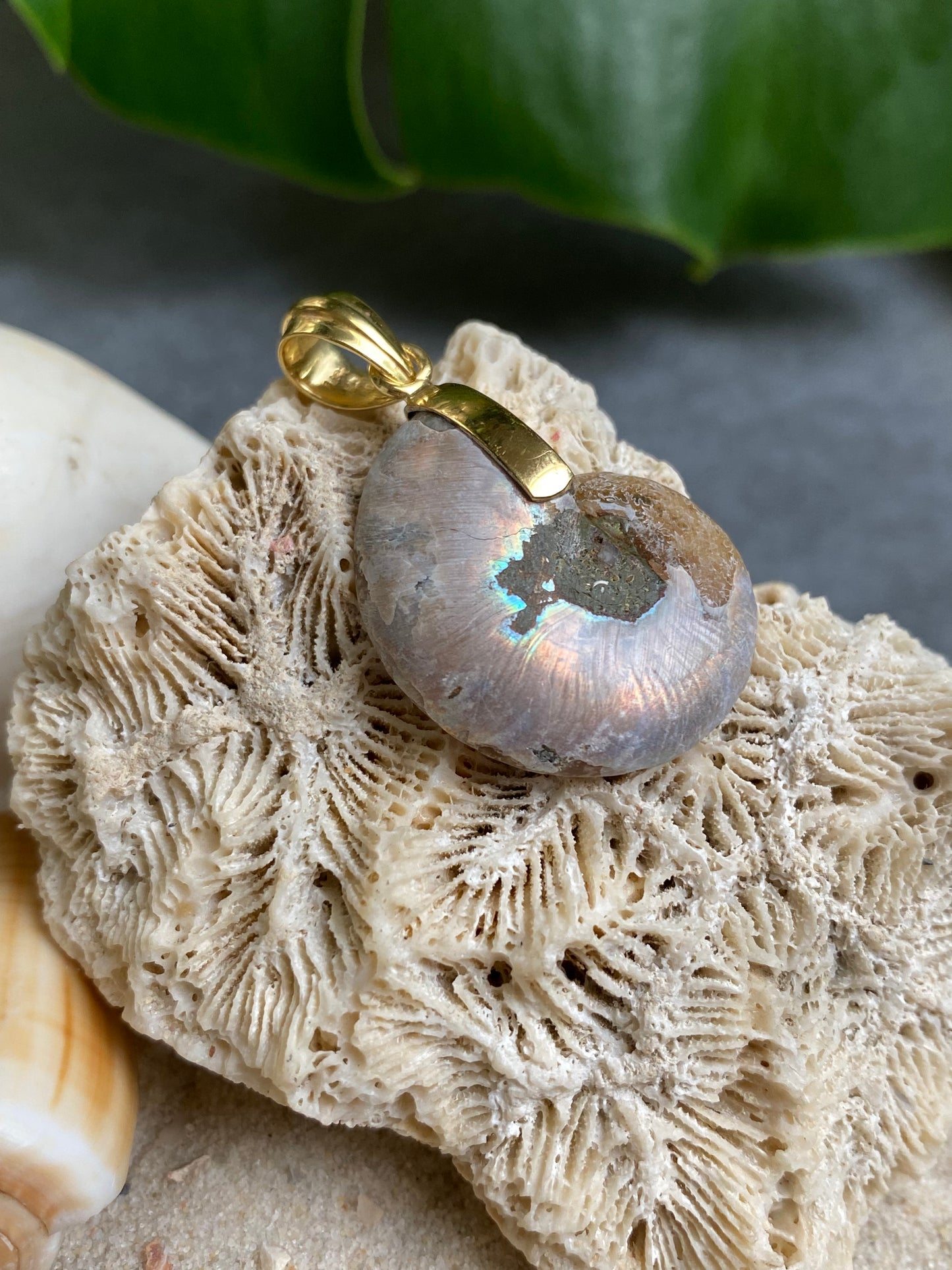 Ammonit Anhänger 925 Silber vergoldet