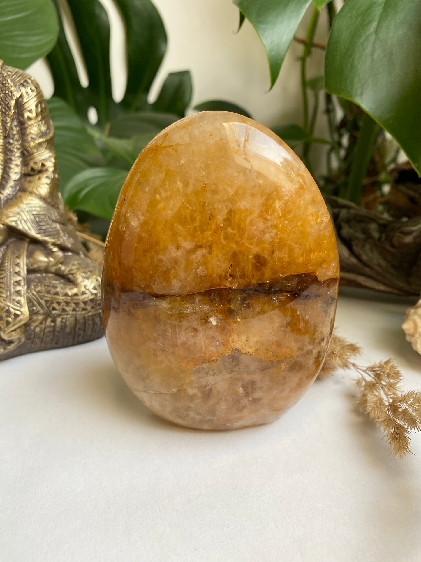 Golden Healer Freiform