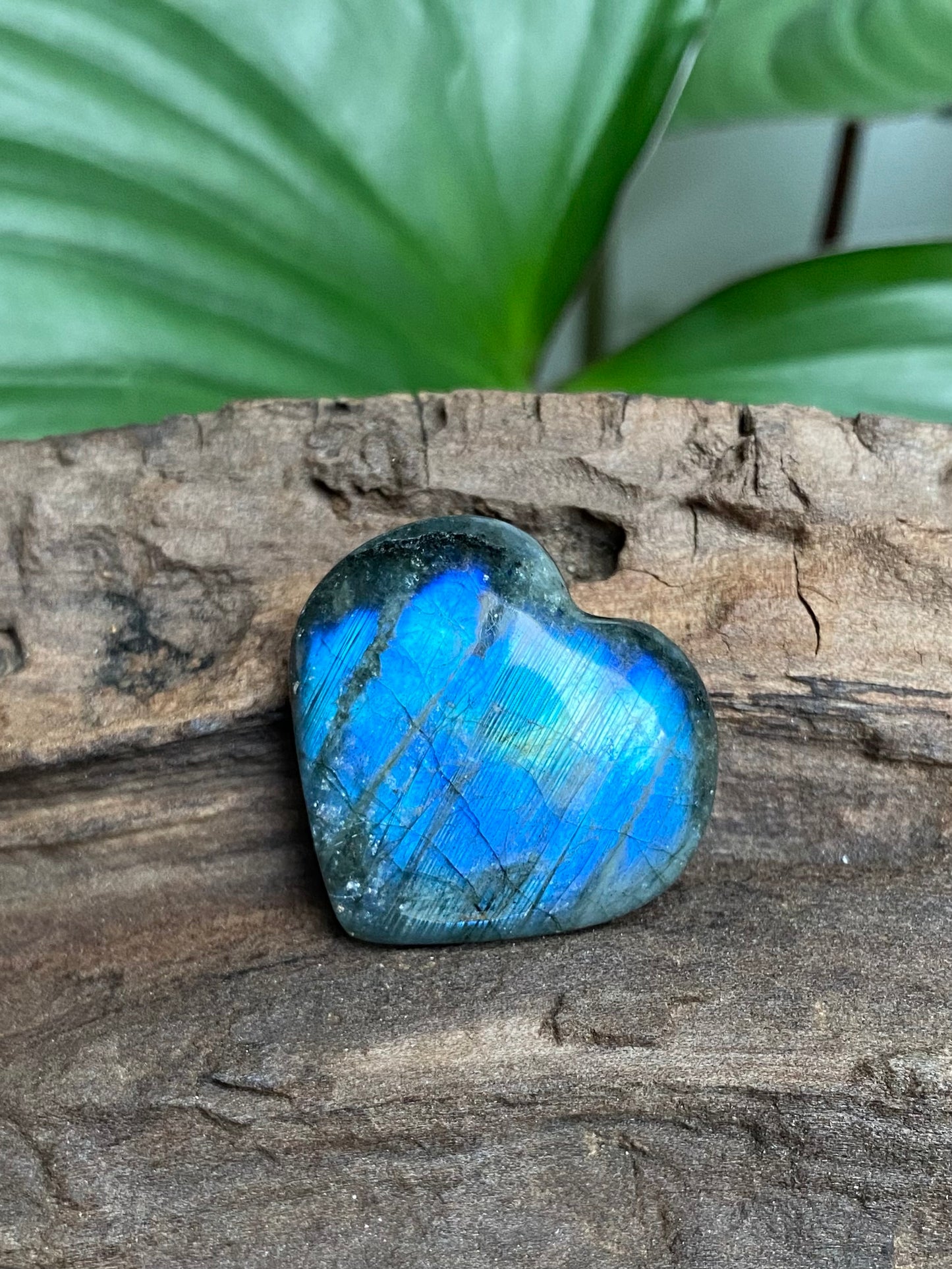 Crystal Confetti ✨