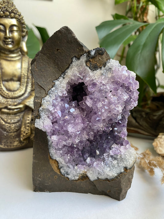 Amethyst auf Basalt