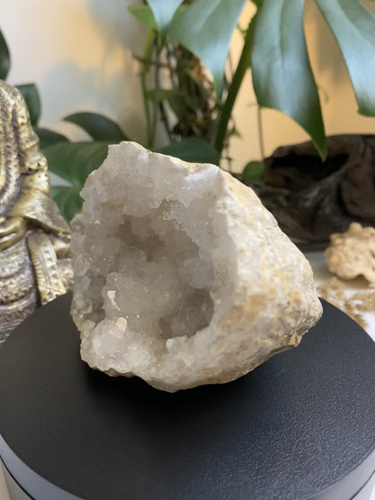 Quarz Geode (Paar)