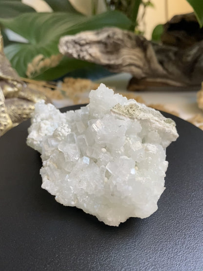 Apophyllit Zeolith Stufe 4